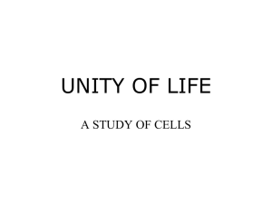 UNITY OF LIFE