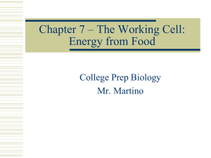 Cell Respiration PPT