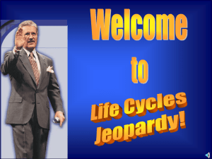 Life Cycles JEOPARDY