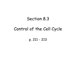 Section 8.3 Control of the Cell Cycle