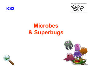 Microbes Superbugs