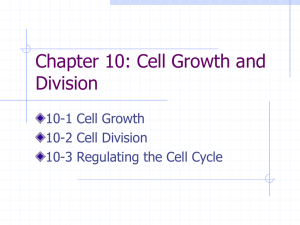 Cell Growth Chapter 10 PPT