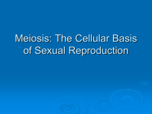 Meiosis: The Cellular Basis of Sexual Reproduction