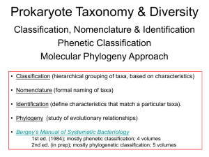Prokaryote Taxonomy and Diversity