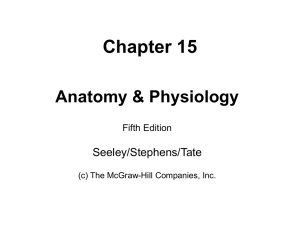 Chapter 15 Anatomy & Physiology