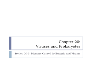 Diseases Caused by Bacteria and Viruses