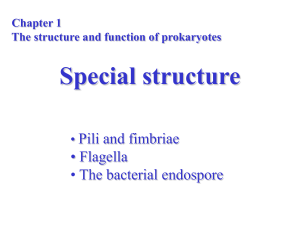 Special structure