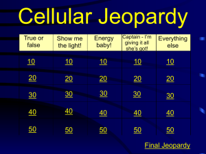 ch 8 jeopardy review - photosynthesis and respiration