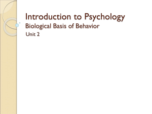 Psychology Lecture 02 - Biological Basis