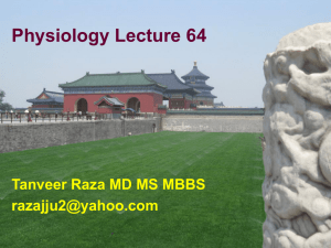 Physiology Lecture 63