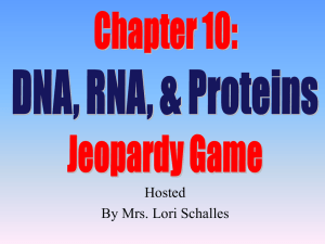 DNA Jeopardy Game