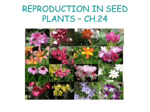 REPRODUCTION IN SEED PLANTS – CH.24