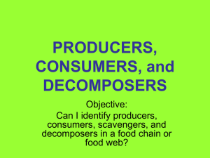 PRODUCERS, CONSUMERS, and DECOMPOSERS