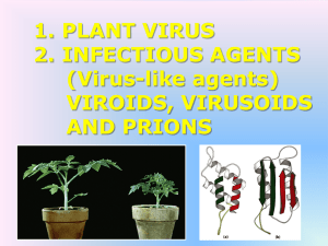 Other Infectious Agent and Plant Virus