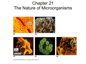 Chapter 21 The Nature of Microorganisms
