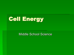 Cell Processes - De Soto Area School District
