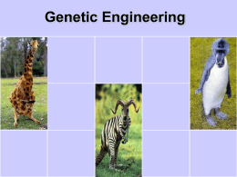 Top 7 Techniques Used in Genetic Engineering