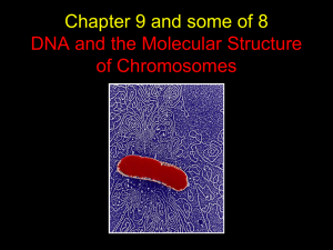 Chapter 9 DNA and the Molecular Structure of Chromosomes