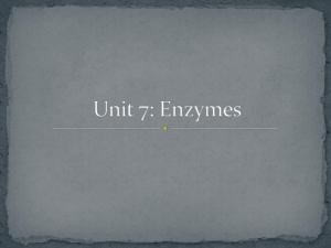 Unit 7: Enzymes
