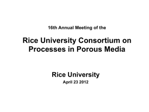 Faculty & Collaborators - Rice University -