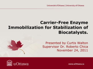 Carrier-Free Enzyme Immobilization for Stabilization of Biocatalysts
