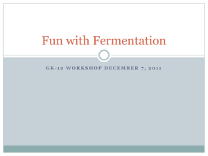 Fun-with-Fermentation