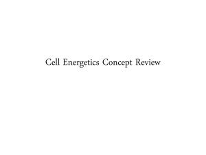 Cell Energetics Concept Review - APBiology2011-2012