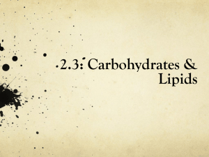 2.3 carbohydrates and lipids