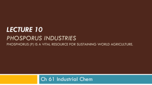 Lecture 10 – Potassium and Phosphorus Industries