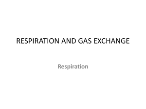 BIO_MODULE_02_RESPIRATION_AND _GAS EXCHANGE