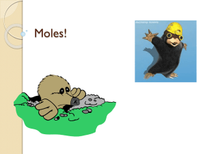Moles!