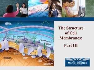Cell membrane structure PPT
