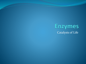 Enzymes - Fall River Public Schools