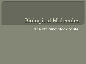 Biological Molecules - Fall River Public Schools