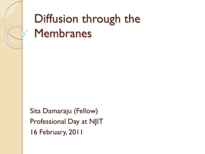 Diffusion through the Membranes