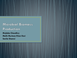 Microbial Biomass Production Mujtaba Ch