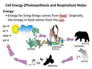 Cell Energy Powerpoint