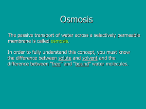 Cell Membrane Osmosis Power Point