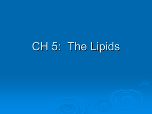 CH 5: The Lipids
