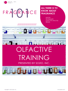 Fragrance Collection 11-12
