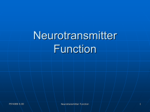 Neurotransmitter Function