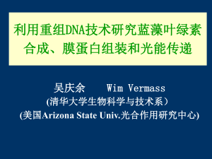 重组DNA技术构建突变体研究蓝藻广西童装配合