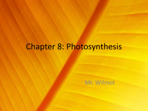 Chapter 8: Photosynthesis