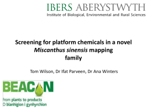 Screening for platform chemicals in a novel