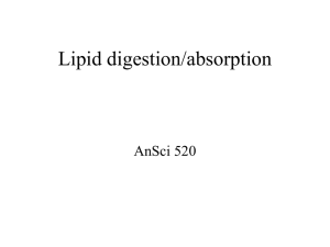 Fatty acid nomenclature Lipid digestion/absorption Post