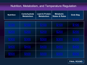 Nutrition, Metabolism, and Temperature Regulation