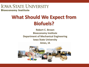 What Should We Expect from Biofuels