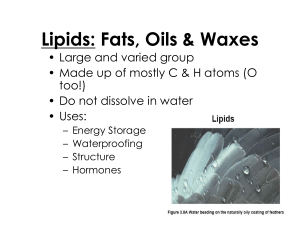 Lipids: Fats, Oils & Waxes