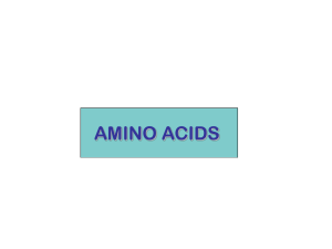amino acids.1