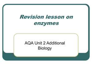 Revision lesson on enzymes
